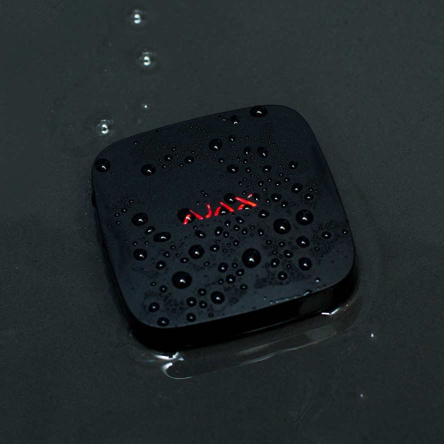 lp_b-1x_b866a506.jpg